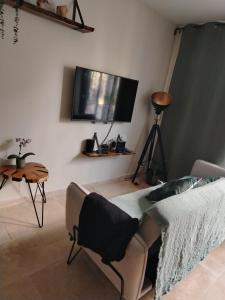 TV a/nebo společenská místnost v ubytování Monstera Lodge