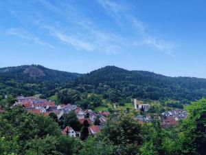 a town in the middle of a valley with mountains at Ferienwohnung Merkurpanorama in Gernsbach