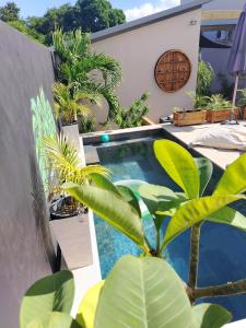 Bazén v ubytování Monstera Lodge nebo v jeho okolí