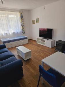 TV a/nebo společenská místnost v ubytování Apartman Hanzky