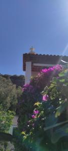 A garden outside CAPERCIA home