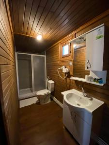 a bathroom with a toilet and a sink at Çampınarı Doğa Evleri & Restaurant in Mengen