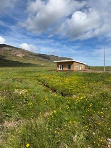 a house in the middle of a field with flowers at Sigurstapi, Borgarfjörður Eystri in Borgarfjordur Eystri