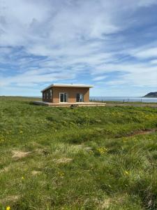 a small house in a field of grass with the ocean at Sigurstapi, Borgarfjörður Eystri in Borgarfjörður Eystri