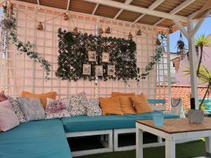 Φωτογραφία από το άλμπουμ του Orange Terrace Hostel σε Αλμπουφέιρα