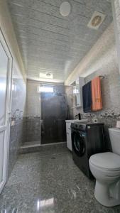 a bathroom with a toilet and a washing machine at Guesthouse Martvili Canyon 'Kolkhi' 