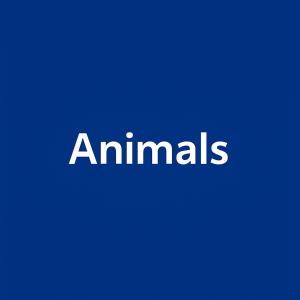 Altri animali domestici presso l'appartamento o nei dintorni