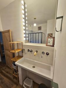 a bathroom with a sink and a large mirror at Villa Antoinette in Saint-Nectaire +25 photos