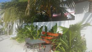 Zahrada ubytování Vegas Thoddoo Maldives
