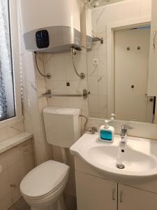 Koupelna v ubytování Apartman Paola