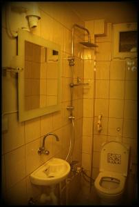 アンカラにあるBayındır Konuk Eviのバスルーム(洗面台、トイレ、鏡付)
