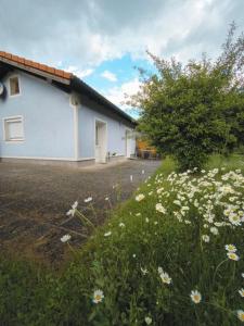 Κήπος έξω από το Ferienhaus Nest