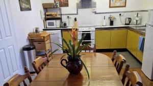 Η κουζίνα ή μικρή κουζίνα στο Swn y nant Barmouth road A496 Llanelltyd