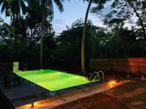 Piscina di Nature World Jungle Paradise o nelle vicinanze