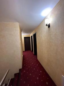 Fotografie z fotogalerie ubytování Vila NICHOLAS v destinaci Bărcăneşti