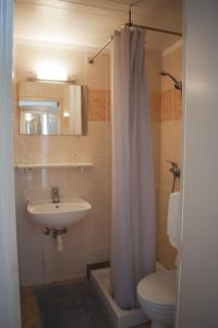 a bathroom with a sink and a toilet and a shower curtain at Hôtel Belle Meunière in Nice +118 photos