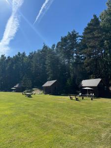 two picnic tables in a field with trees in the background at Vaide kempings in Vaide