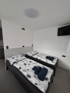 two beds in a white room with blue pillows at Penzion Cohla - Nová Paka in Nová Paka