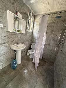 a bathroom with a shower and a sink and a toilet at Apartment Himare Livadhe in Himare