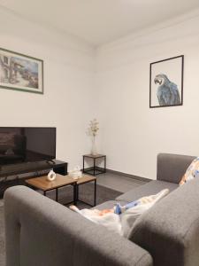 a living room with a couch and a tv at Les suites frontalières T2 avec Parking secteur Thionville Luxembourg in Basse-Yutz