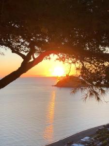 Gallery image of Hotel Villa al Mare in Ischia