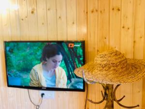 a television hanging on a wall with a straw hat at Chalet Harmony in Bagdatʼi