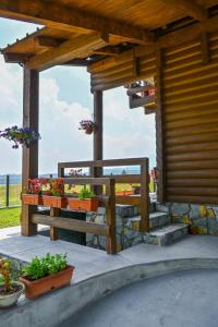a porch with potted plants and a wooden building at Mountain Viewpoint in Žabljak +17 photos