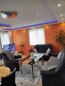 A television and/or entertainment centre at Apartman Zlatar-Vasiljevic