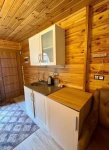 a kitchen with a counter and a sink in a cabin at Ensar Apart in Uzungöl
