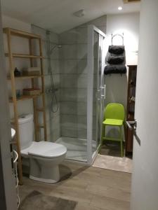 a bathroom with a shower and a toilet and a green stool at Le 7ter, maison calme piscine partagée in Saint-Laurent-sur-Sèvre +22 photos
