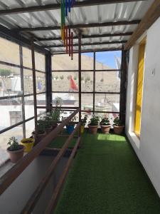 a balcony with potted plants in a building at Life inn Spiti in Kaza