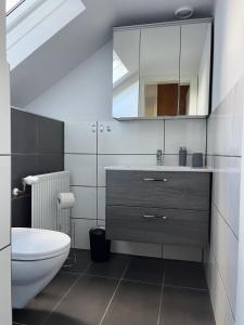 a bathroom with a sink and a toilet and a mirror at Ferienwohnung Amselnest in Seeboden