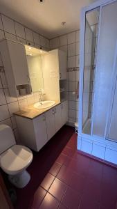 a bathroom with a toilet and a sink and a shower at Kirkjufell Guesthouse and Apartments in Grundarfjordur +66 photos