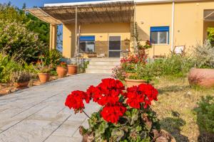 Gallery image of Santa Domenica Summer House in Ayía Kiriakí +43 photos