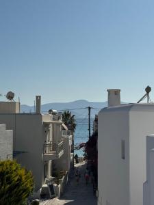 Fotografie z fotogalerie ubytování Theofanis Studios v destinaci Agia Anna Naxos