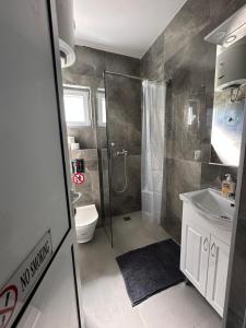 a bathroom with a shower and a toilet and a sink at Apartman 2 in Šušanj