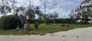 Κήπος έξω από το La Fattoria dei Desideri