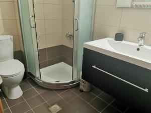 a bathroom with a shower and a toilet and a sink at Villa Adelais App in Tsoukalades +15 photos