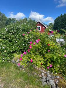 Foto dalla galleria di Älvbacken a Västerlanda