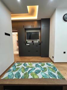 a living room with a television and a rug at Fehér Balaton Apartman in Balatonalmádi +10 photos