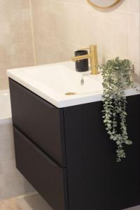 a black bathroom vanity with a sink and a plant at Studio vue mer clim plage aéroport Nice centre commercial centre affaires Nice Arenas emplacement excellent in Saint-Laurent-du-Var +25 photos