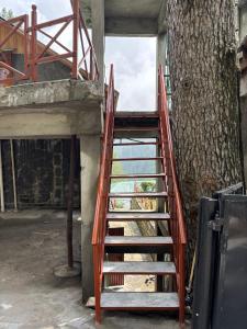 a set of stairs next to a tree at Haven Hilltop Cottage, Dunga Gali in Dunga Gali
