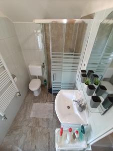 ein Badezimmer mit Waschbecken, Dusche und Toilette in der Unterkunft Apartman Petra Zabok in Zabok + 37 Fotos