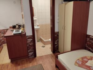 Cette chambre comprend une salle de bains pourvue d'un lit et d'une douche. dans l'établissement Apartment-Studio Downtown Dudanovi Ohrid, à Ohrid