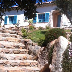 a stone staircase in front of a house with blue windows at Stazzu La Sarra in Cannigione