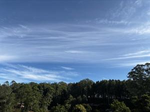 a cloudy blue sky above a forest of trees at Tea sprig villa in Boralanda