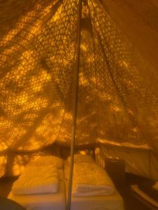 't HorntjeBell tent Binnen Duin的帐篷里有两张床，还有蚊帐