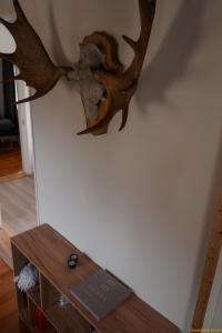 Fotografie z fotogalerie ubytování Nordic Catch Cabin v destinaci Överkalix