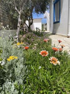 Gambar di galeri bagi Stavros Seaside Apartments 04 di Stavros +25 gambar
