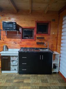 a kitchen with a stove and a sink in a cabin at Alojamiento Pamela in Coñaripe +21 photos